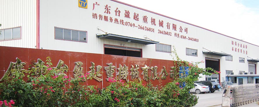 廣東臺盈起重機械有限公司